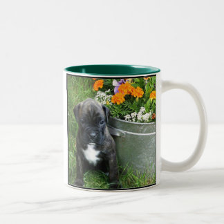 Bicolor Taza del perrito del boxeador