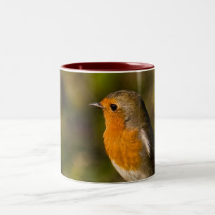 Bicolor Taza del petirrojo del invierno