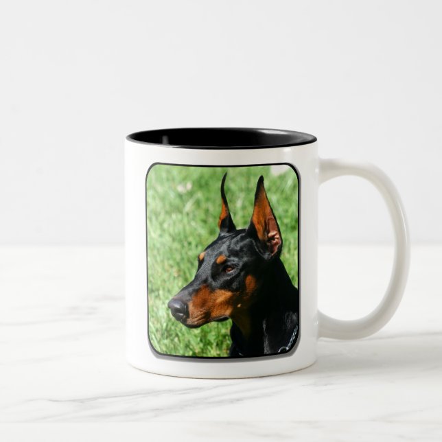 Bicolor taza del pinscher del doberman (Derecha)