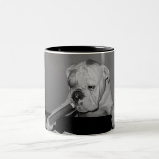 Bicolor taza del póker