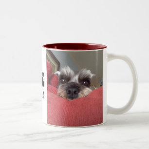 Bicolor Taza del rescate del Schnauzer de Clarabelle