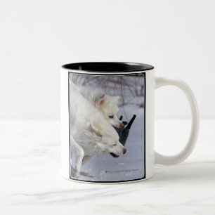 Bicolor Taza del tiempo del juego