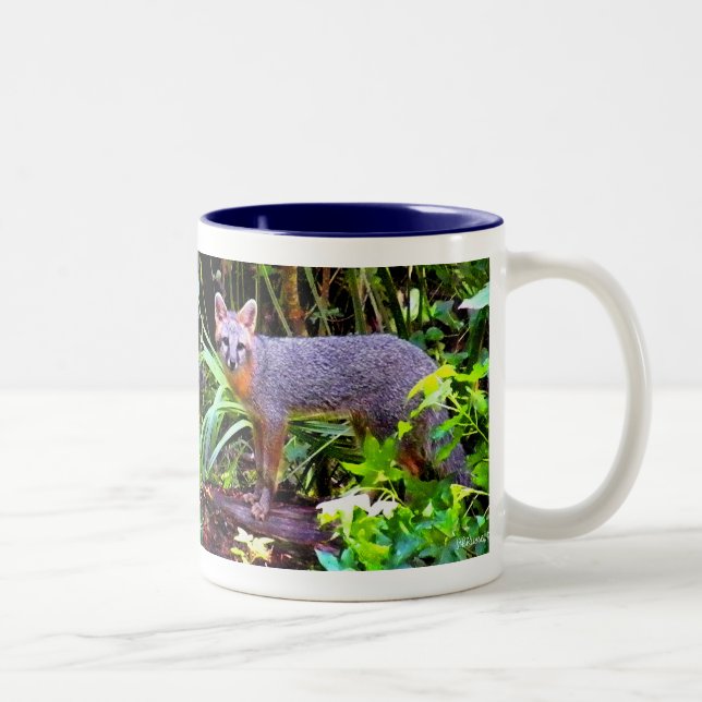 BICOLOR TAZA DEL ZORRO (Derecha)