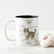 Taza divertida de anatomía de un gato - Regalo par