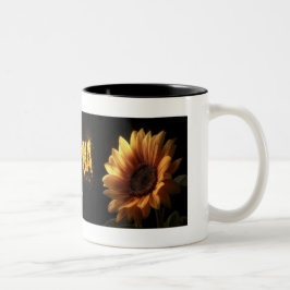 Bicolor Taza DJ Proudmomma