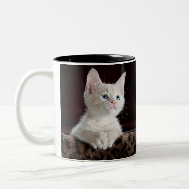 Bicolor taza doble de gato (Izquierda)