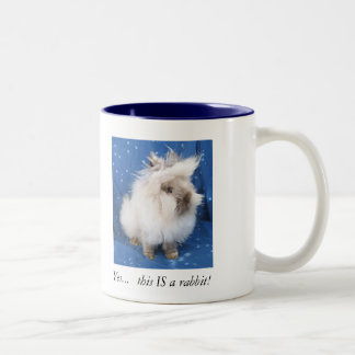 Bicolor Taza doble de Lionhead