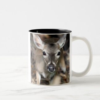 Bicolor Taza dominante de los ciervos