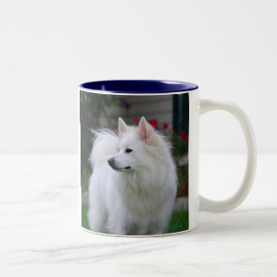 Bicolor Taza esquimal americana