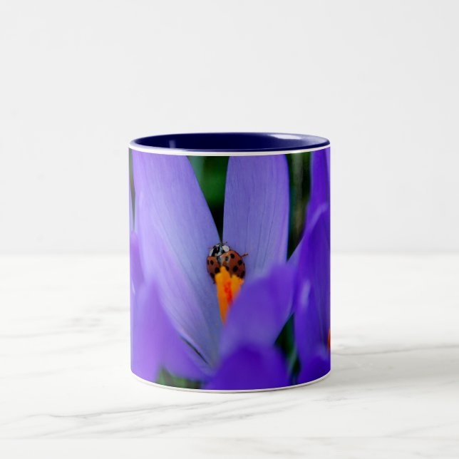 Bicolor Taza Feliz Primavera (Centro)