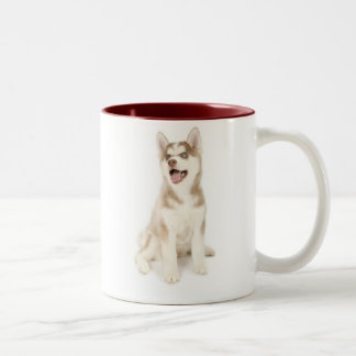 Bicolor Taza fornida