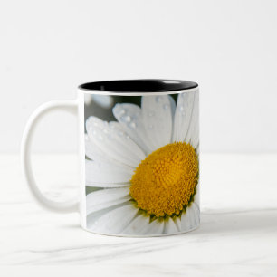 Bicolor taza fota, un margueritte, hacen verde