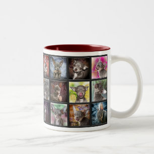 Bicolor Taza fresca de la chihuahua
