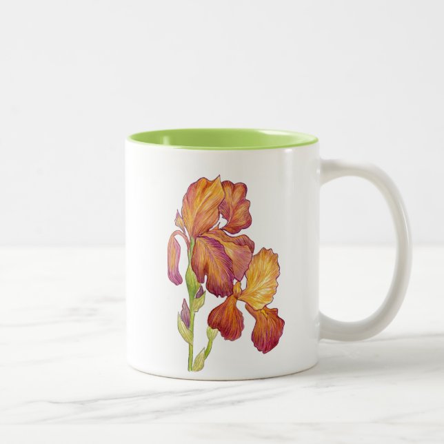 Bicolor Taza Garden Iris (Derecha)