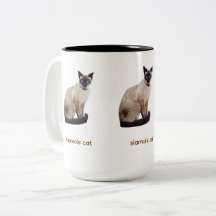 Bicolor taza gato siamés