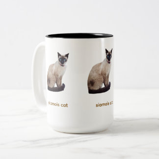 Bicolor taza gato siamés