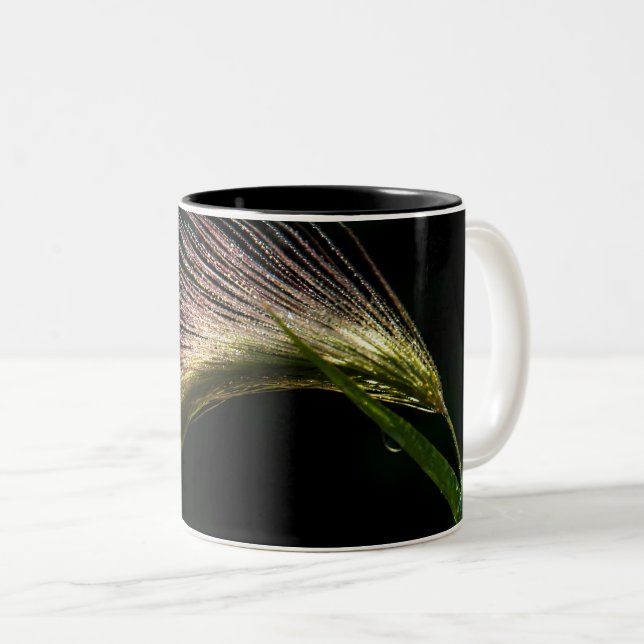 Bicolor taza graminada con el rocío (Anverso derecho)