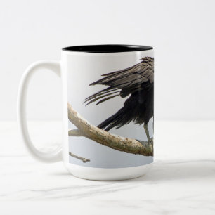 Bicolor Taza grande del buitre negro