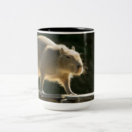 Bicolor Taza grande del Capybara