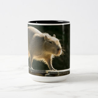 Bicolor Taza grande del Capybara