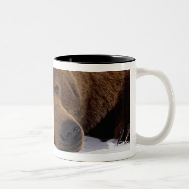 Bicolor Taza Grizzle del oso (Derecha)