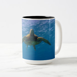 Bicolor Taza hawaiana del abrazo de la tortuga de mar