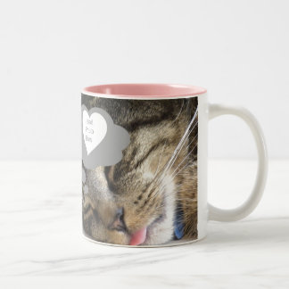 Bicolor Taza ideal del gato