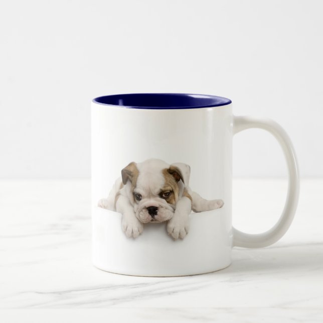 Bicolor Taza inglesa del bulldog (Derecha)