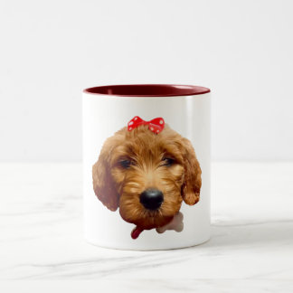Bicolor Taza Kimba