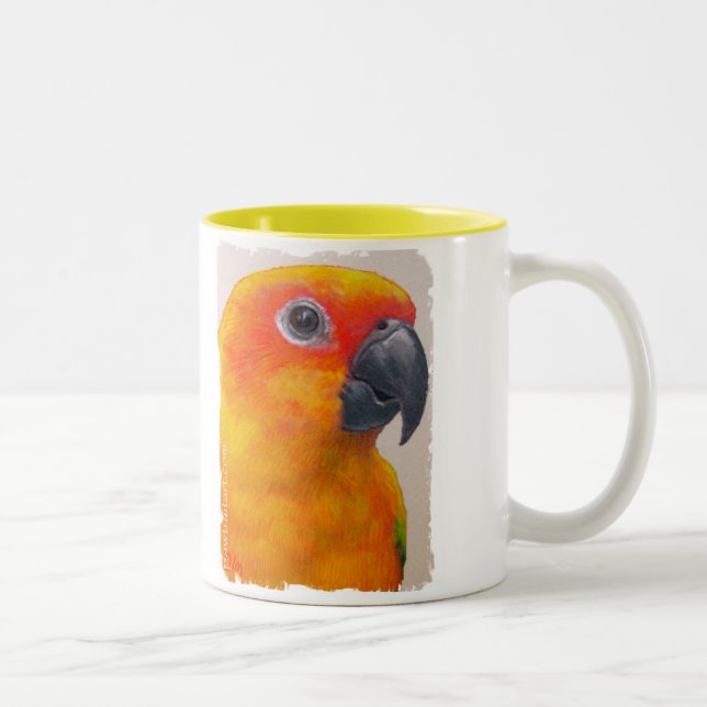 Bicolor Taza - loro de Sun Conure (Derecha)