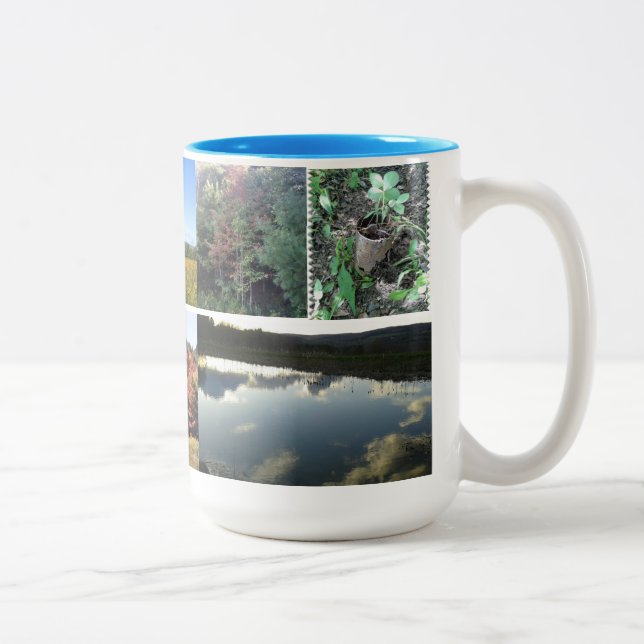 Bicolor Taza Michias  (Derecha)