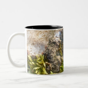 Bicolor Taza Moss Rock