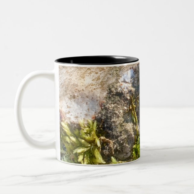 Bicolor Taza Moss Rock (Izquierda)