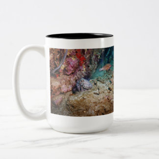 Bicolor Taza Octo