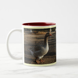 Bicolor Taza "otoño " de las aves acuáticas de Silver
