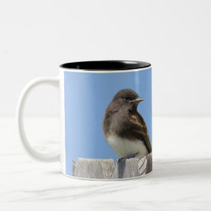 Bicolor Taza - Pájaro en la cerca