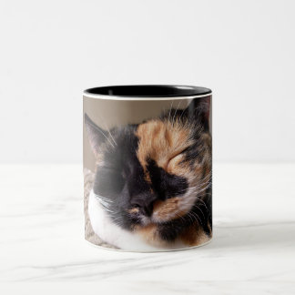 Bicolor Taza perezosa del gato