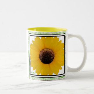 Bicolor Taza perfecta