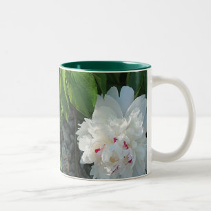 Bicolor Taza preciosa del Peony