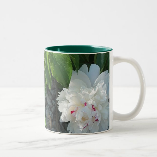 Bicolor Taza preciosa del Peony (Derecha)
