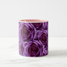 Bicolor Taza púrpura de los rosas