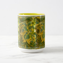 Bicolor Taza Rmdesignflo55-27