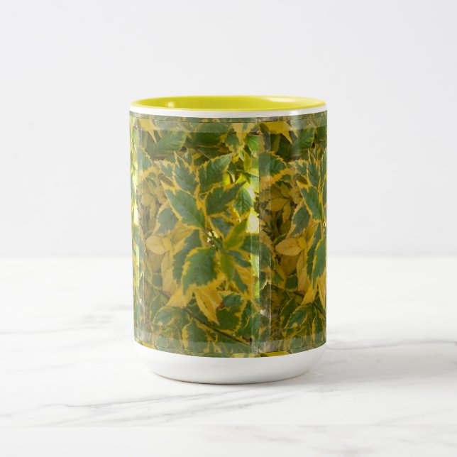 Bicolor Taza Rmdesignflo55-27 (Centro)