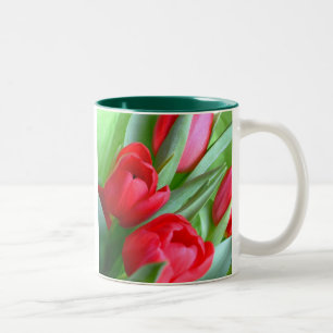 Bicolor Taza roja de los tulipanes