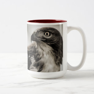Bicolor taza Rojo-atada del halcón
