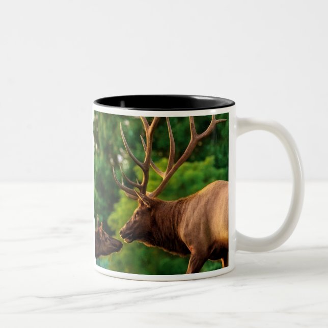 Bicolor Taza romántica de los alces (Derecha)