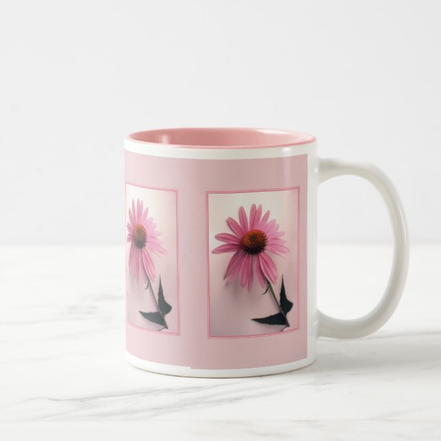 Bicolor Taza rosada de Coneflower (Derecha)