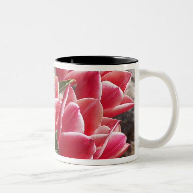 Bicolor Taza rosada de los tulipanes (Derecha)