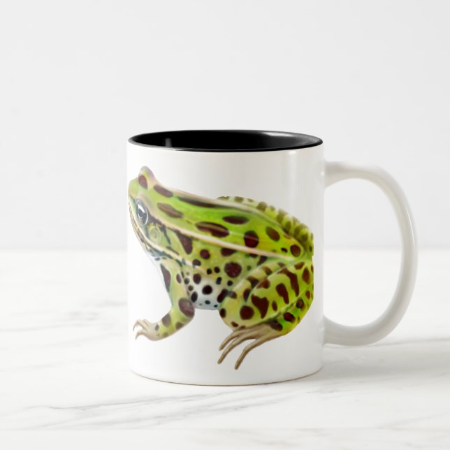 Bicolor Taza septentrional de las ranas de leopardo (Derecha)