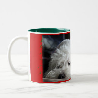 Bicolor Taza soñolienta de Santa